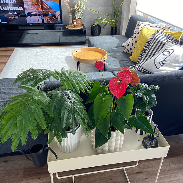 kahomeさんの部屋