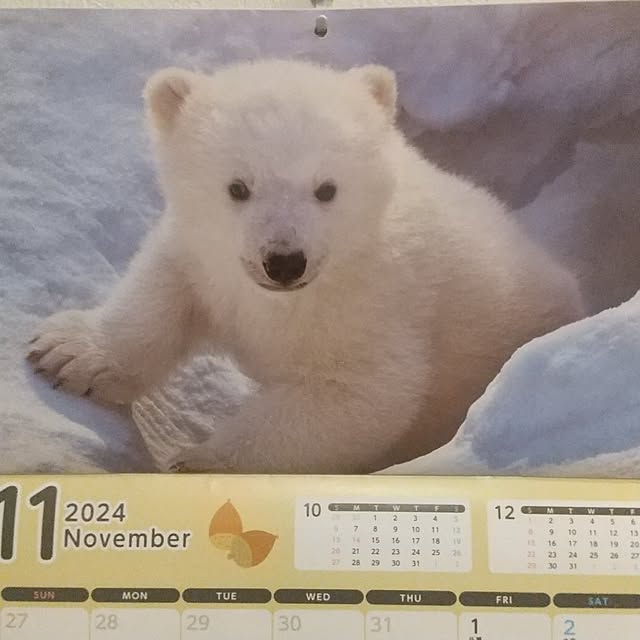 Rさんの部屋