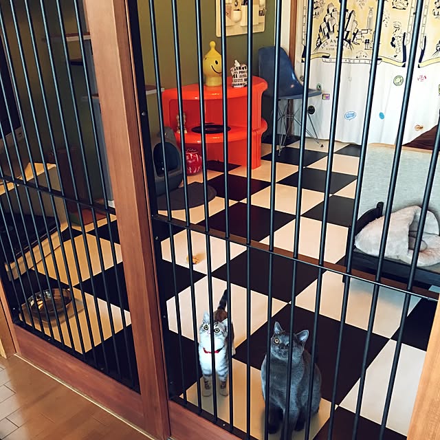 Shojiさんの実例写真