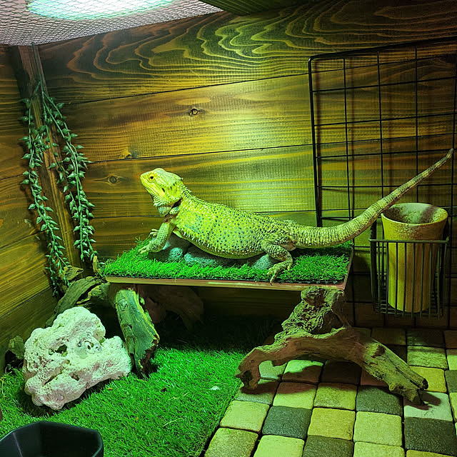 keroseneさんの実例写真