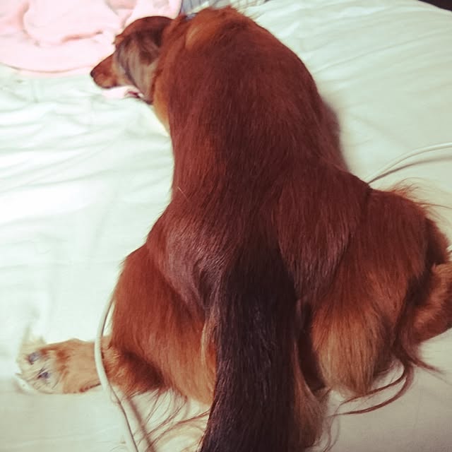 andさんの実例写真