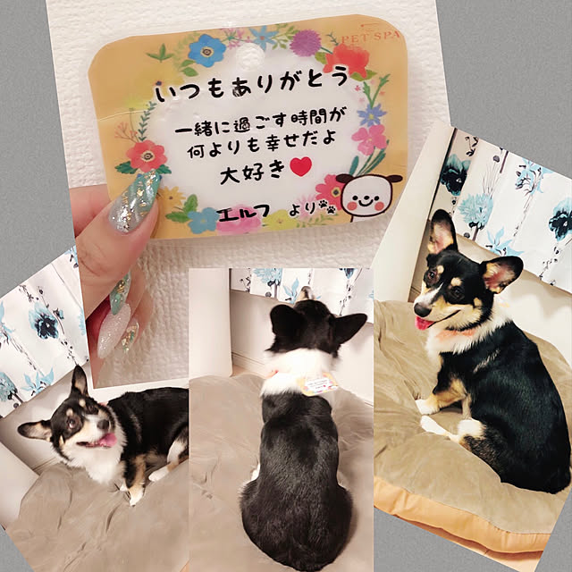 Ruiさんの実例写真
