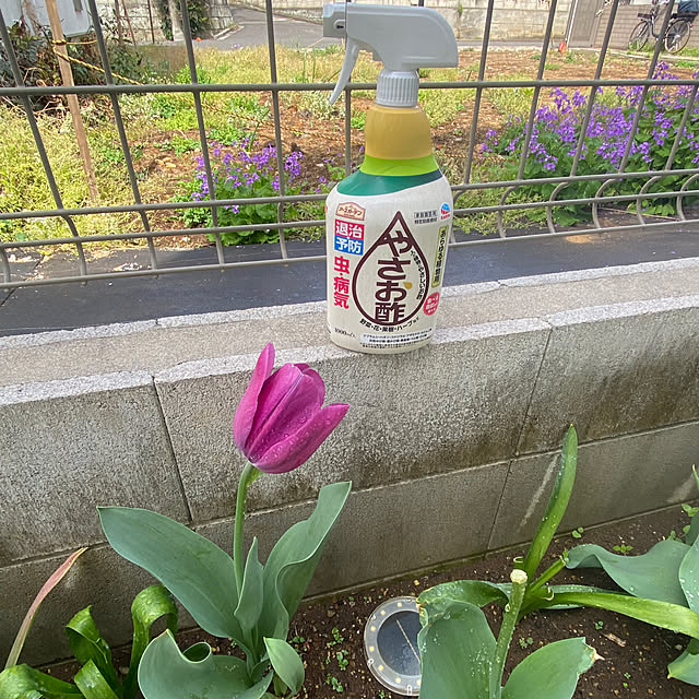 Haruさんの実例写真