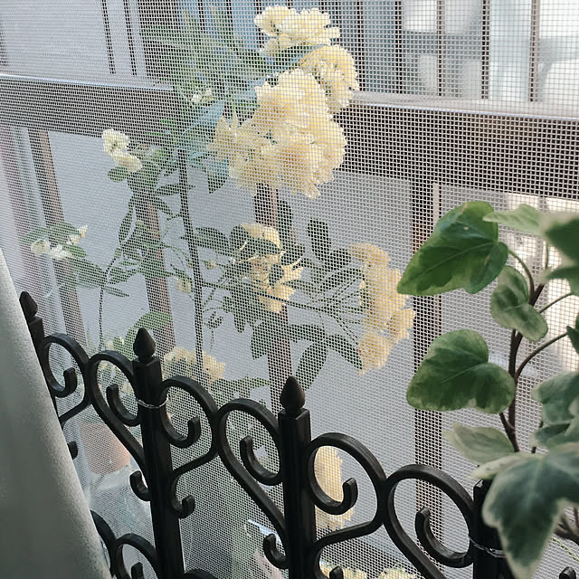 shueさんの実例写真