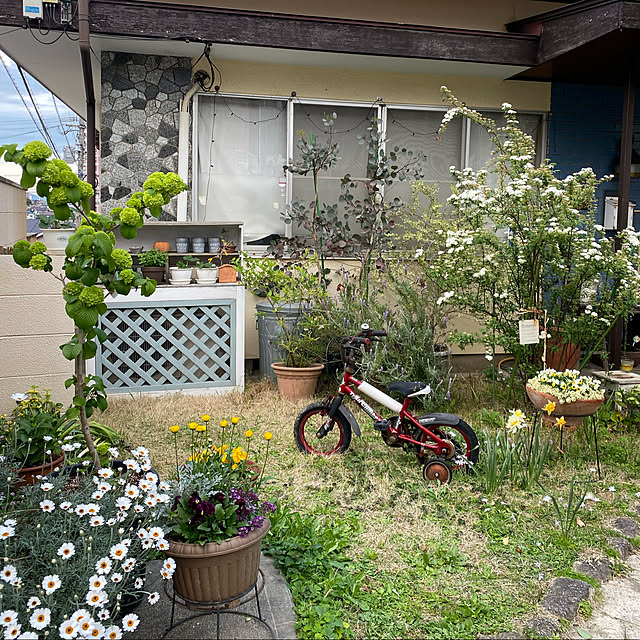 hanaさんの実例写真