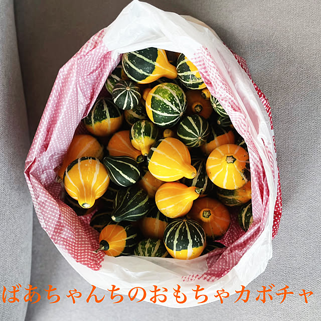 posauruさんの実例写真