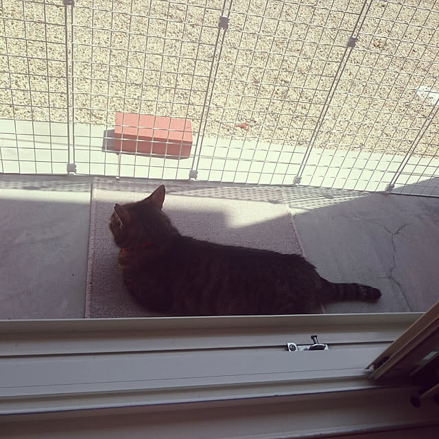 lilyさんの実例写真