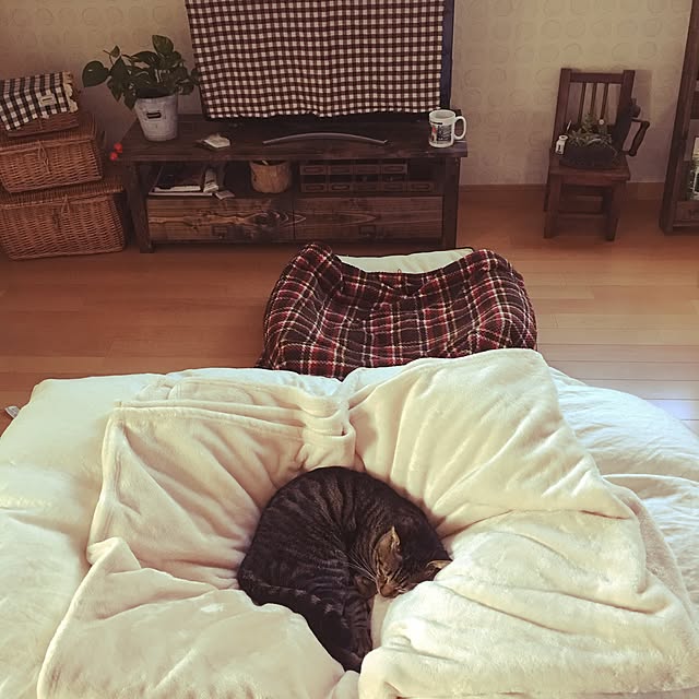 konnakanjiさんの実例写真