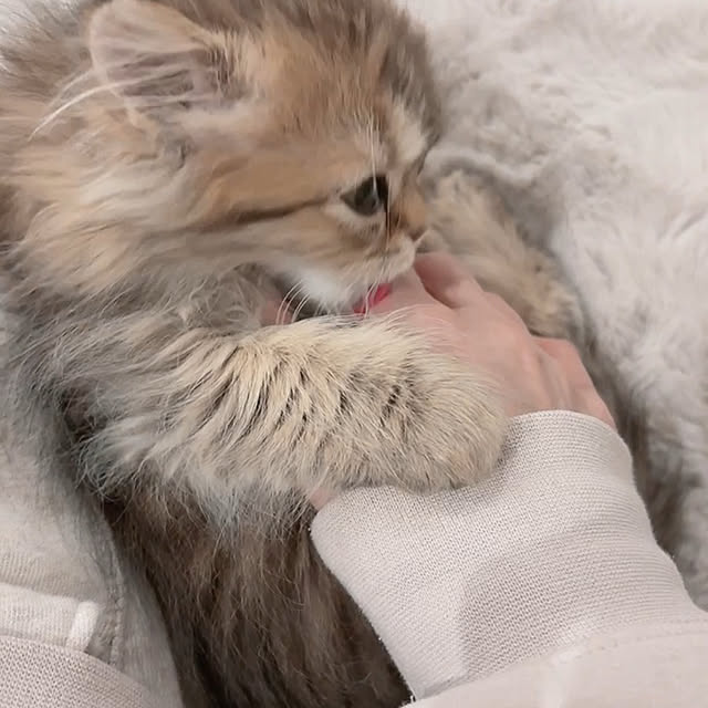 miyu39さんの部屋