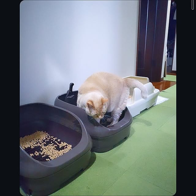 mntcさんの部屋