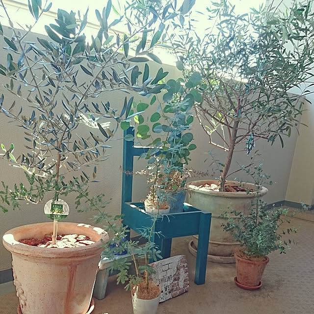 kaoさんの実例写真