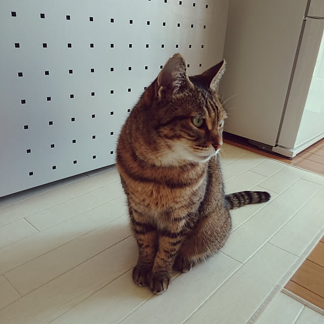 lilyさんの実例写真