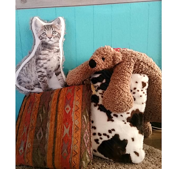 kyooonさんの実例写真