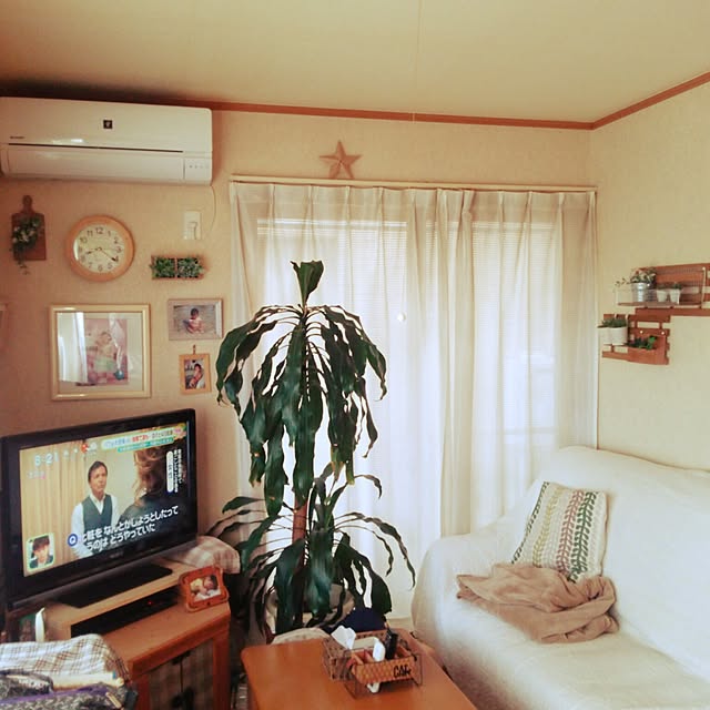 hamukoさんの実例写真