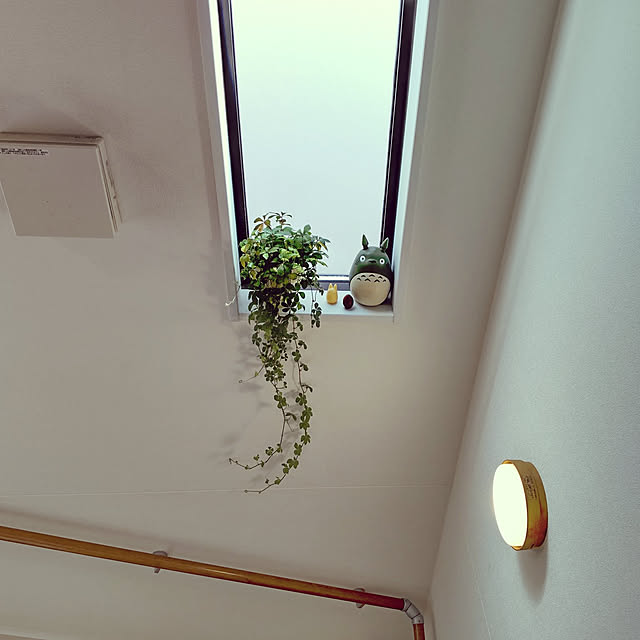 miaoさんの実例写真