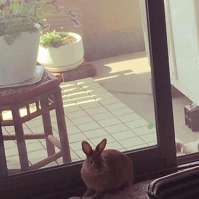 naanaNruruさんの実例写真