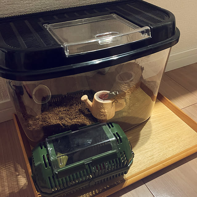 shonaさんの実例写真