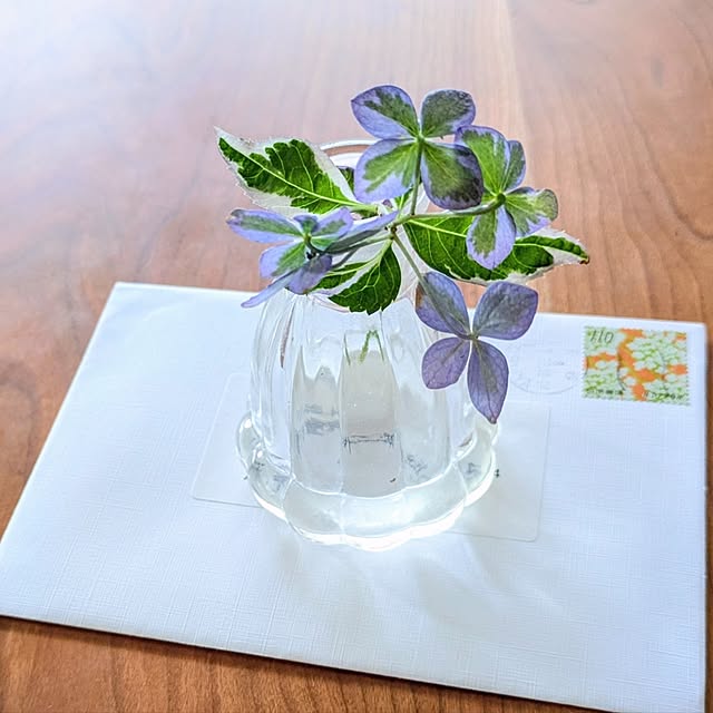 mi-saさんの部屋
