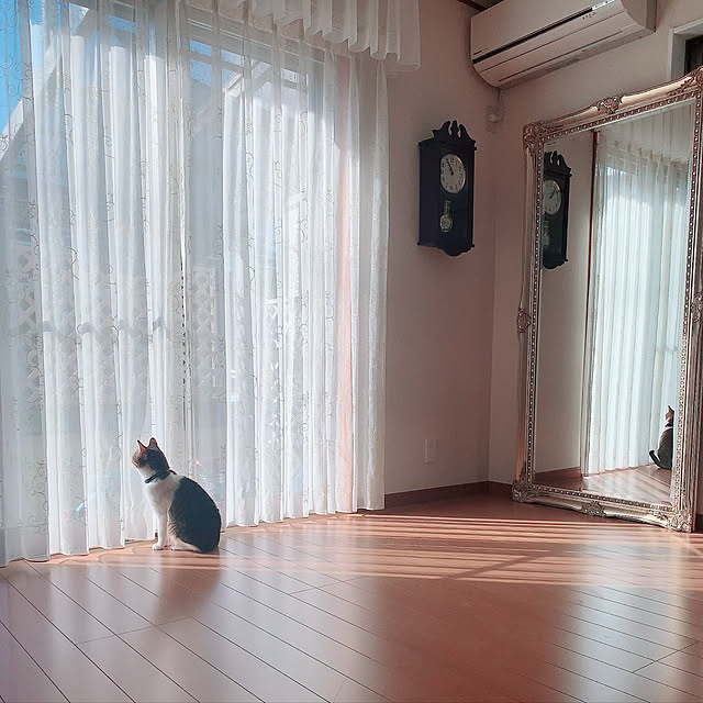 emiさんの実例写真