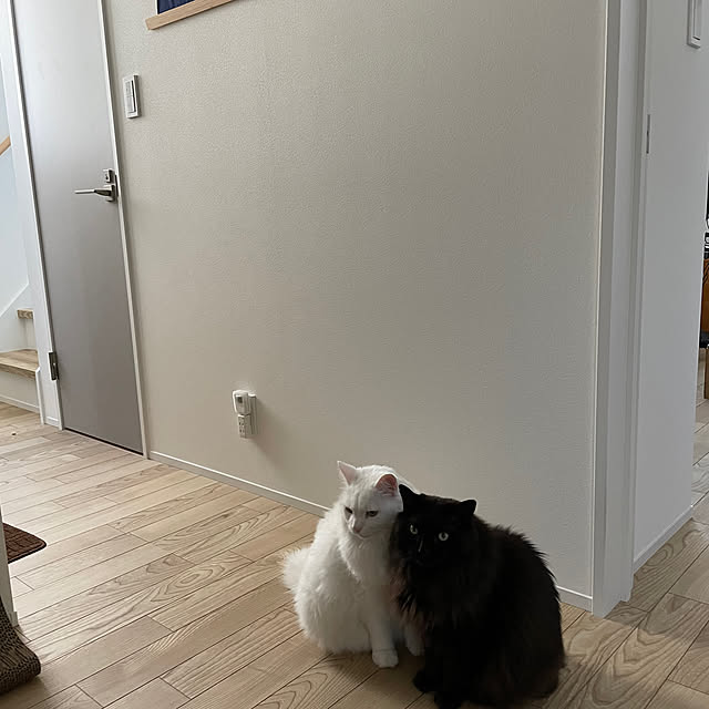 nuffyさんの部屋