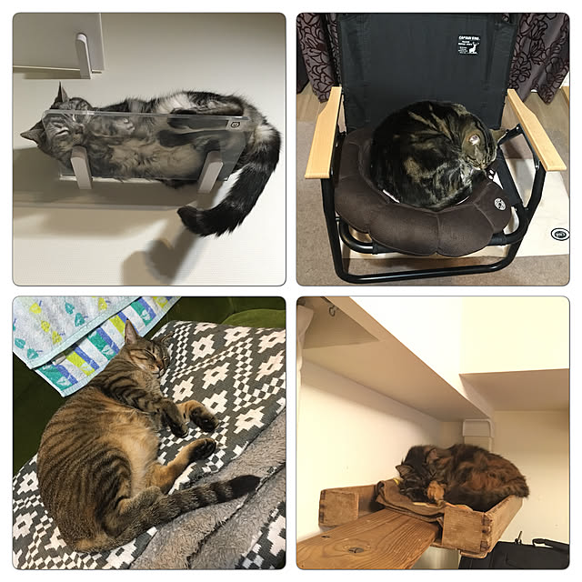 mikomaruさんの実例写真