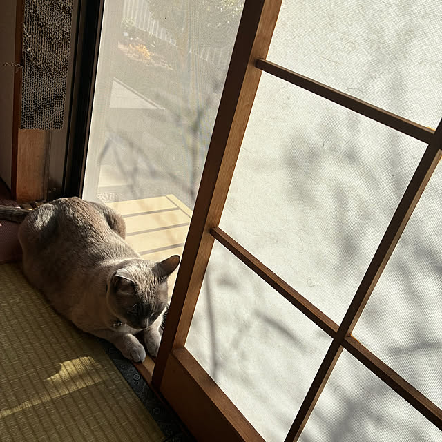 zumayanさんの部屋