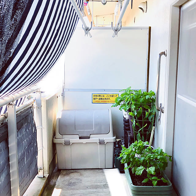 hanachanさんの部屋
