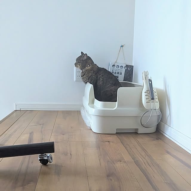 mamimamipockyさんの実例写真