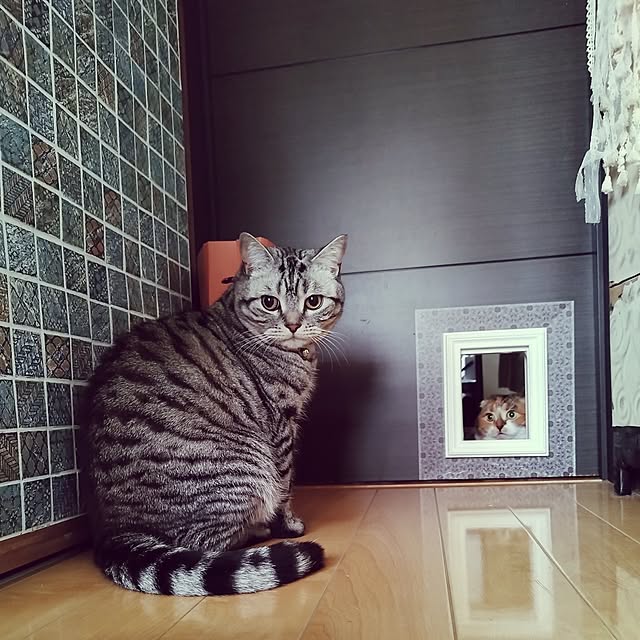 hiro3さんの実例写真