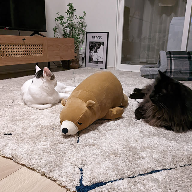 kumiさんの実例写真