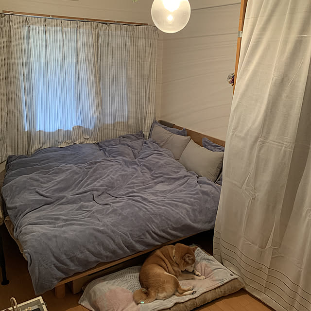 shizu2380さんの実例写真