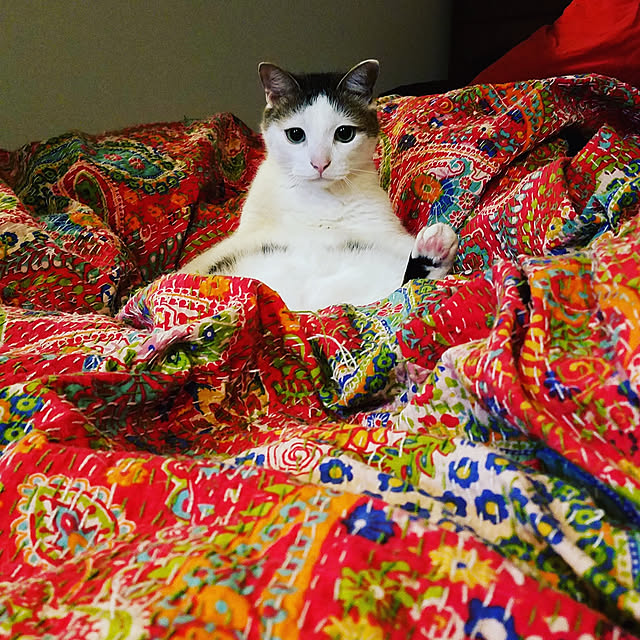 booさんの実例写真