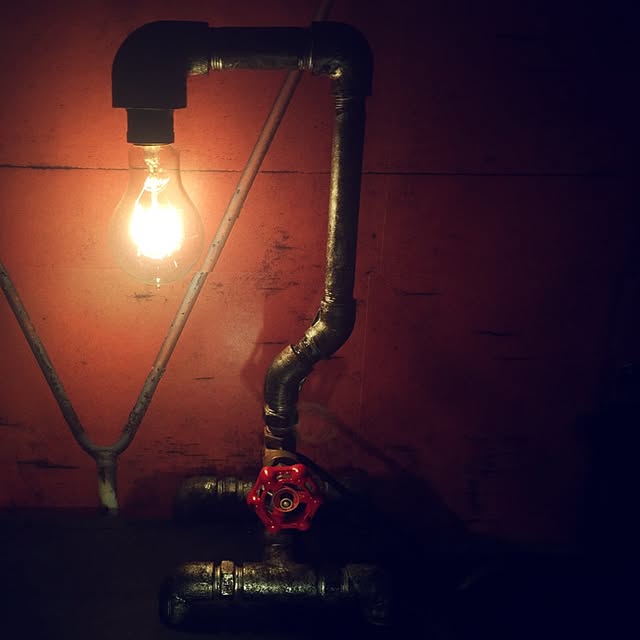 steampunkerさんの実例写真
