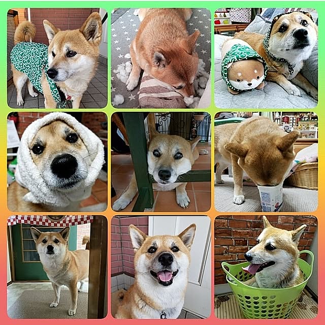 nanaさんの部屋