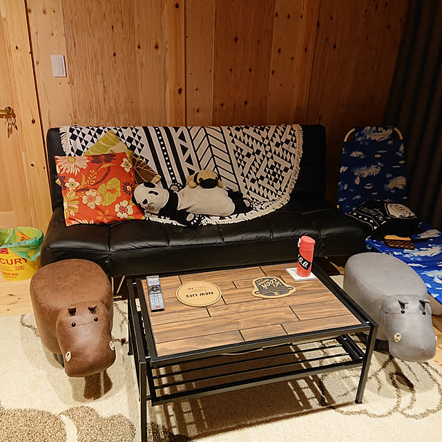 skyさんの実例写真