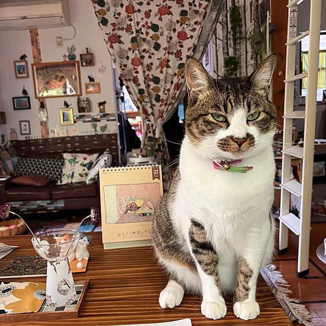 jijiさんの実例写真