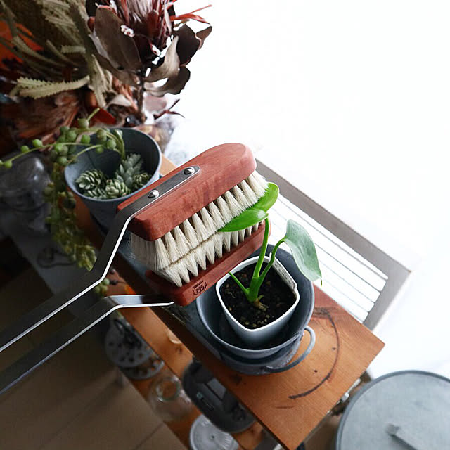 amipamaさんの実例写真