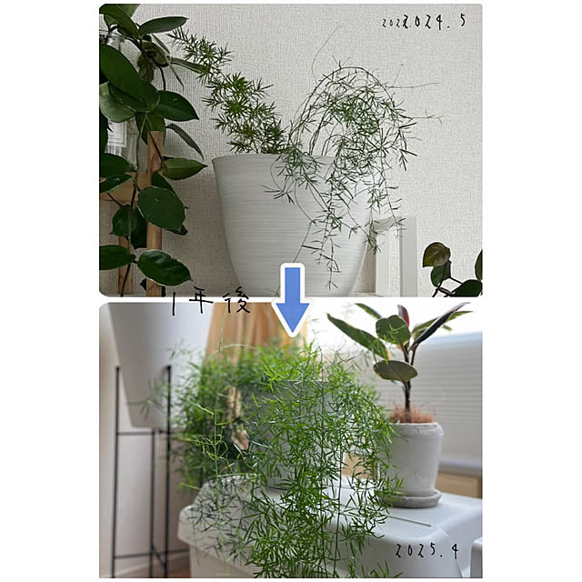 moon.mさんの部屋