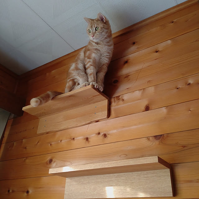 glassさんの実例写真