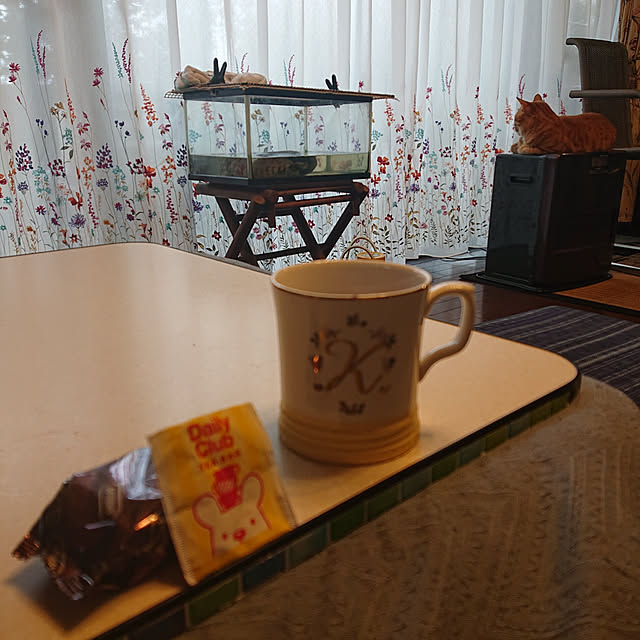 okyosan101さんの実例写真