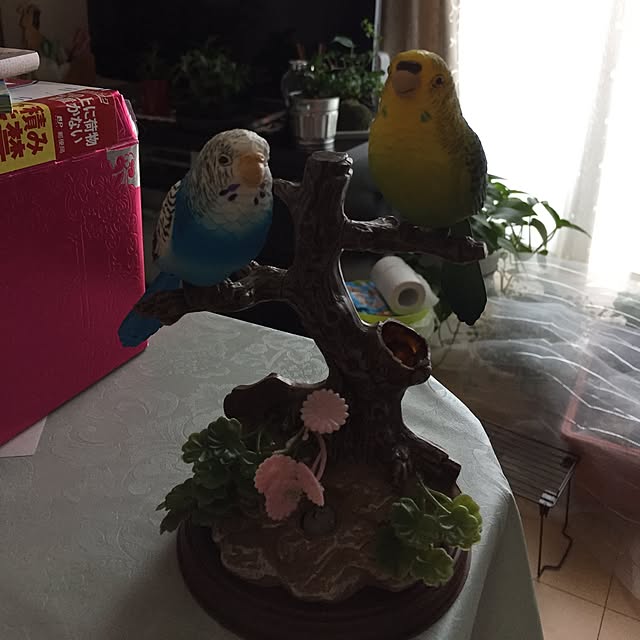 emiさんの実例写真