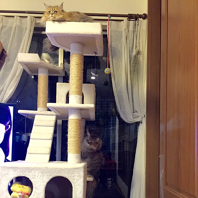 butachanさんの実例写真