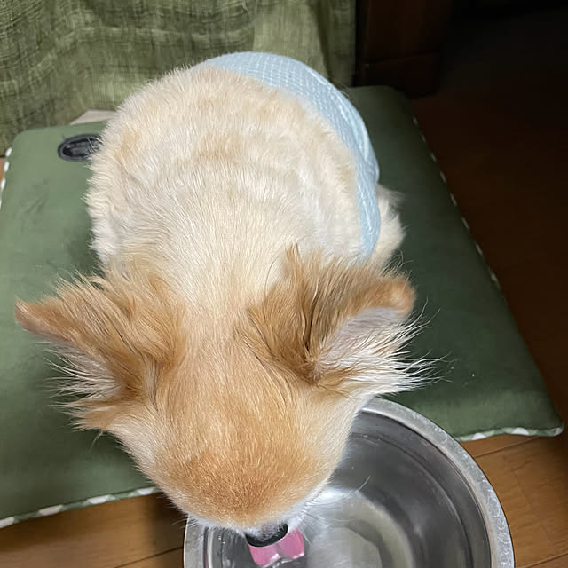 natsumiさんの部屋