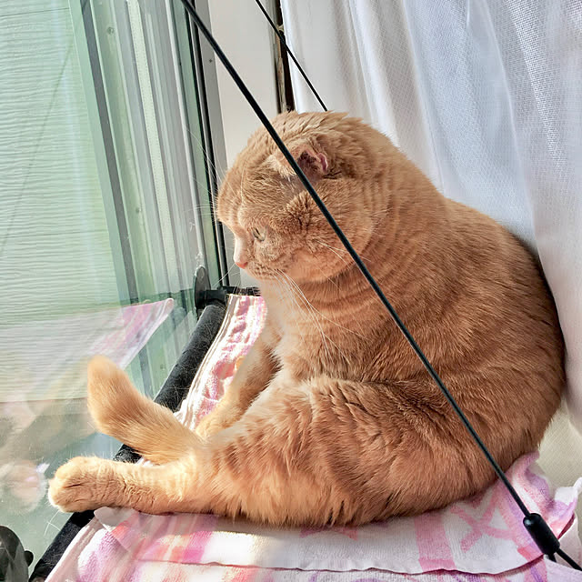 pinaminさんの実例写真