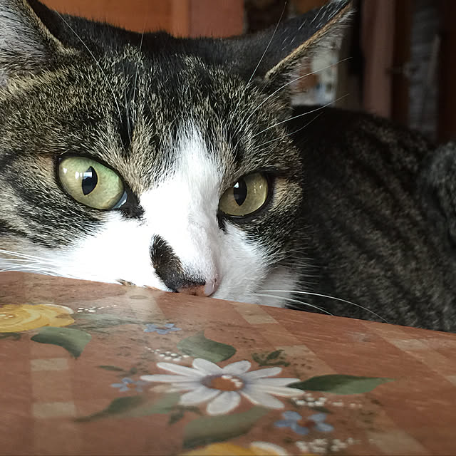 実例写真