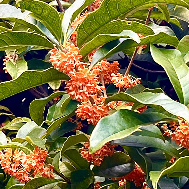 yottanさんの実例写真