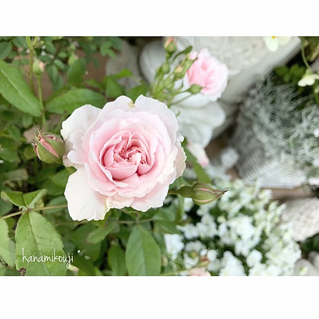 s.mamaさんの実例写真