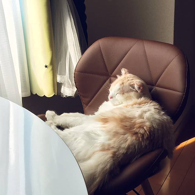 mofuchiさんの実例写真