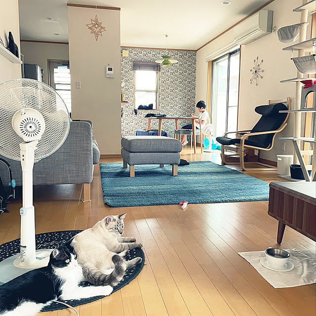 yu-さんの実例写真