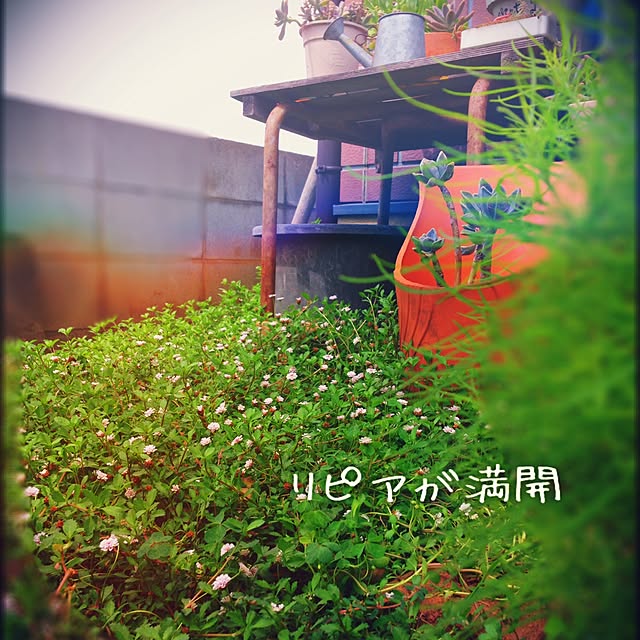 38coreさんの実例写真